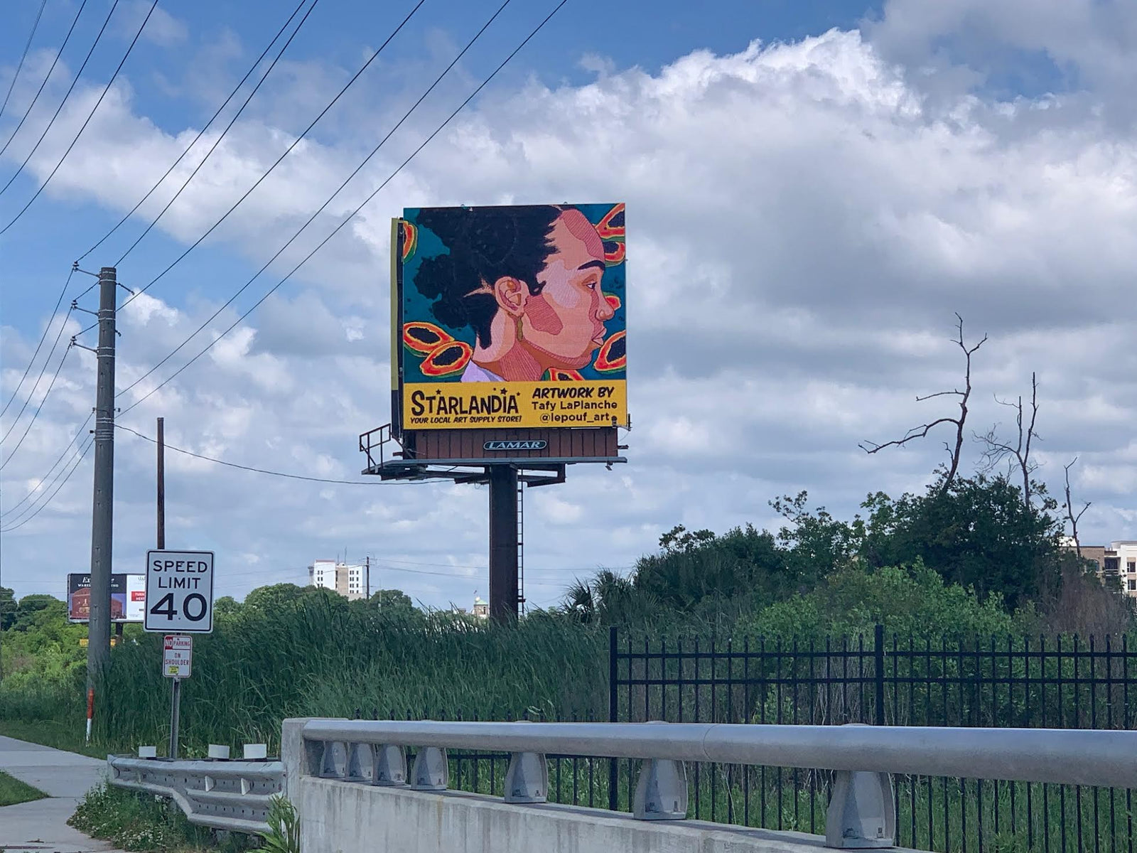 Local Art Store Supporting Local Artists!